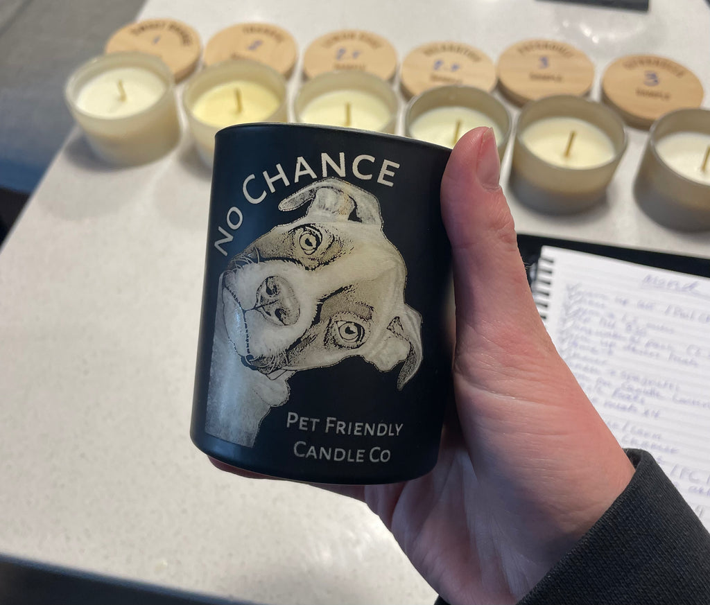 No Chance Pet Friendly Candle 14 oz