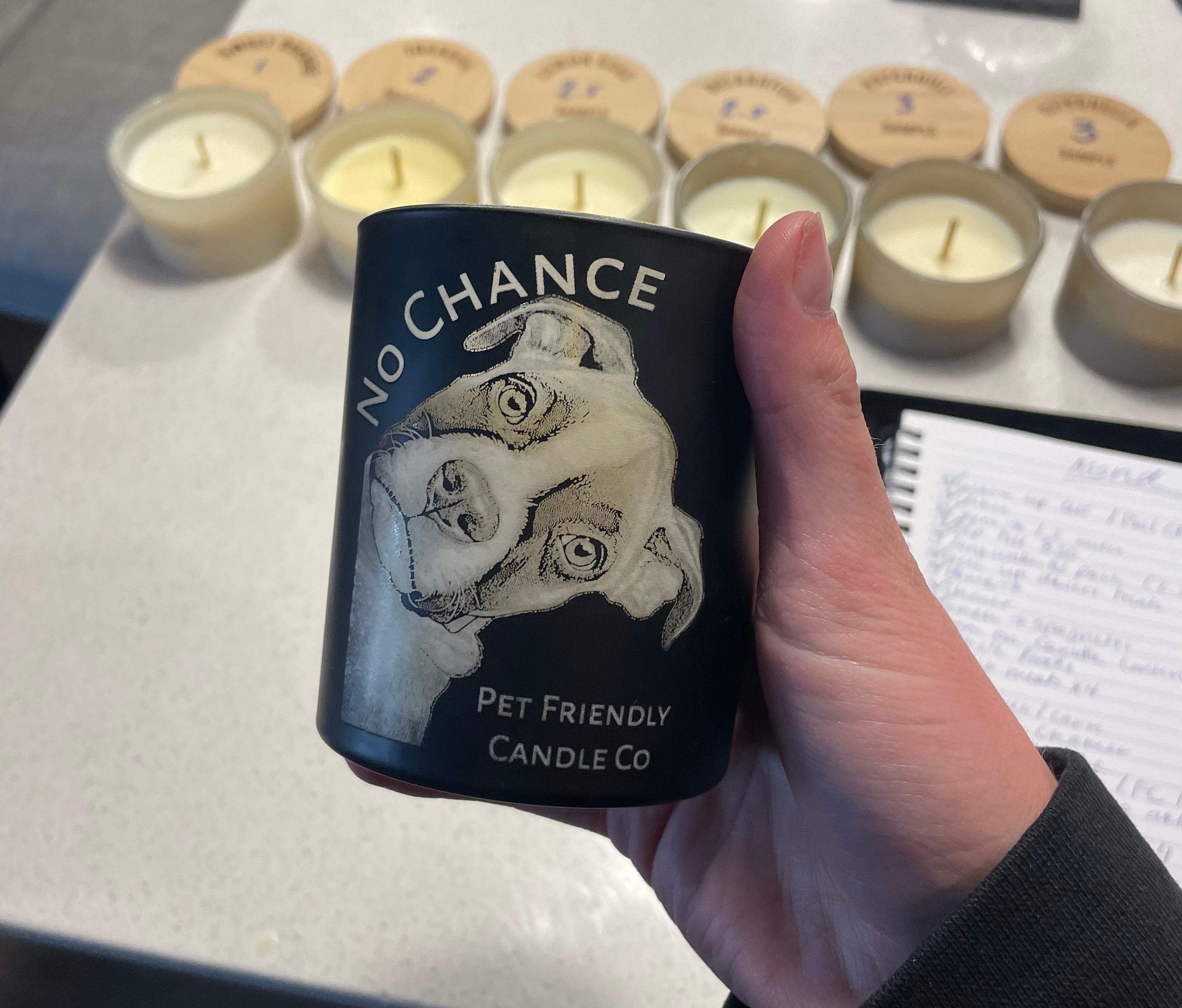 No Chance Pet Friendly Candle 14 oz
